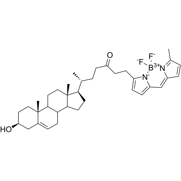 BODIPY FL Cholesterol